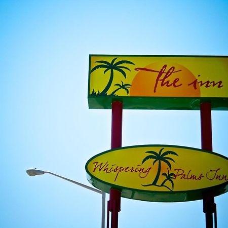 Whispering Palms Inn Del Río Exterior foto