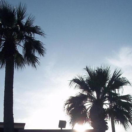 Whispering Palms Inn Del Río Exterior foto